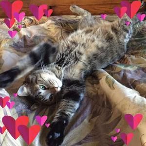 Meet your Posher, Aline